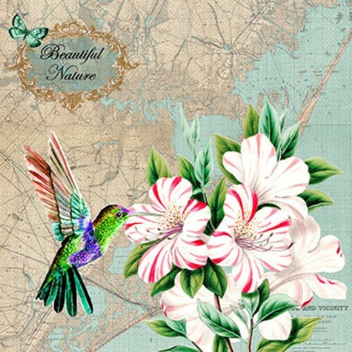 4 X Paper Napkins Hummingbird for Decoupage Crafts Scrapbooks for sale