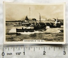1939 Senior Service Coastwise 45 Harvesters of the Sea