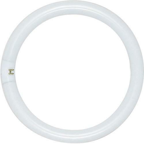 T9 4-Pin Base Circline Lamp - Cool White - 22W - 4100K - SATCO-S6500 - Picture 1 of 1