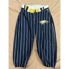 Alleson Men's Baseball Pants Size S Small White Blue Pin Stripe NWOT