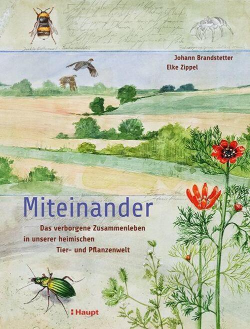 Thumbnail - Miteinander Johann Brandstetter (u. A.) Buch 224 S. Deutsch 2022 Haupt
