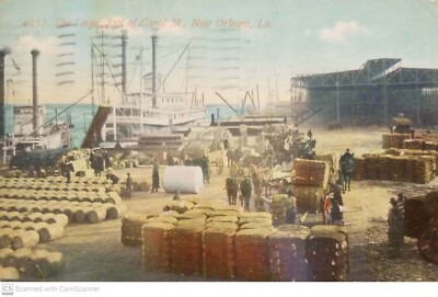  Vintage Postcard [113] - The Levee, foot of Canal St. - New Orleans, La.