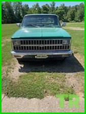 1981 Chevrolet C10 for Sale