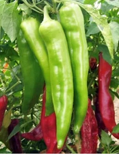 Big Jim Pepper Seeds | Hot | Organic