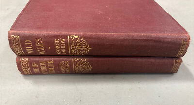 Wild Wales George Borrow & Uncommercial Collins Clear Type Press London Glasgow