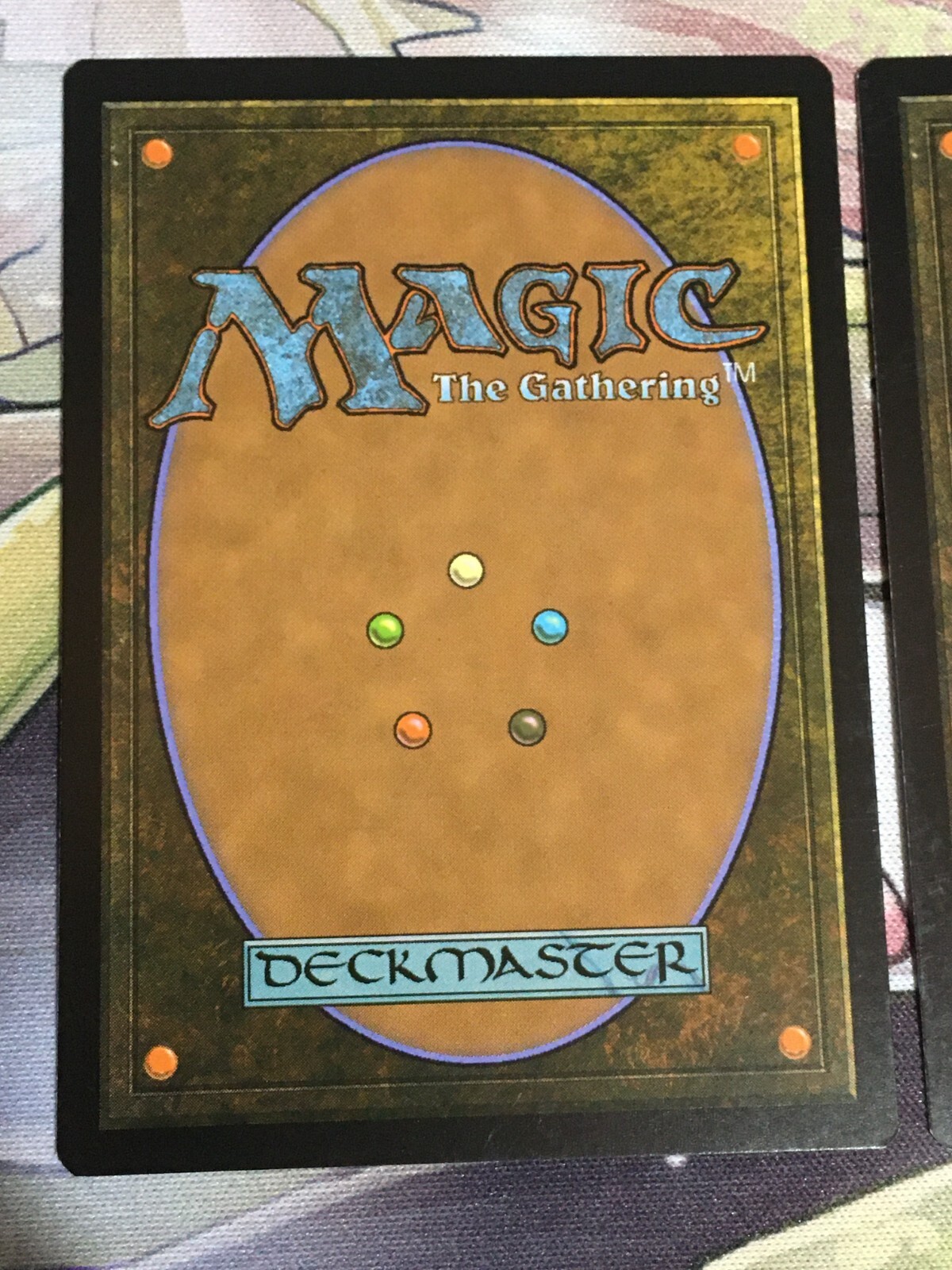 Picture 13 of 22