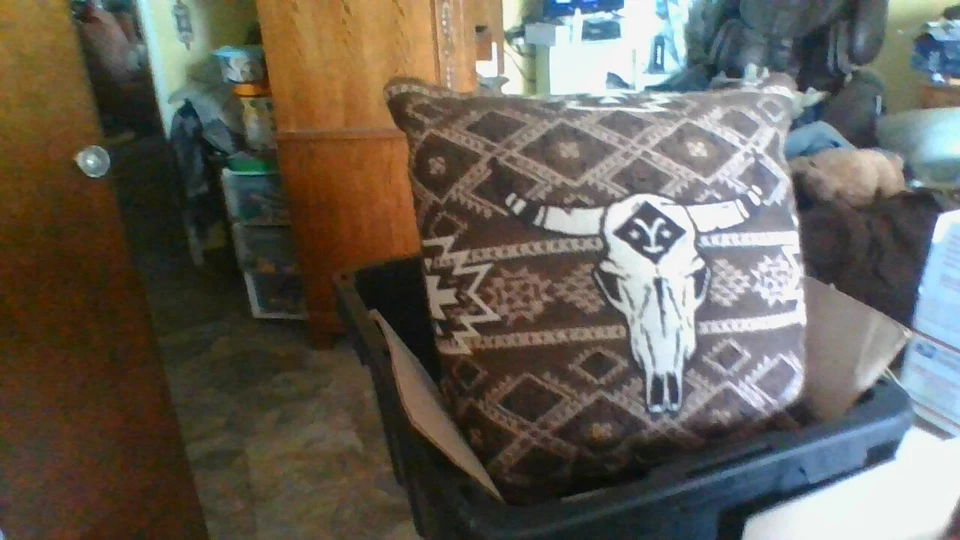 NWT Yellowstone Woven Jacquard Pillow LARGE 20 x 20inches COW SKULL Darby Stripe - Image 3 of 4