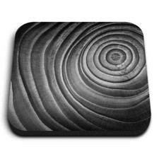 Square MDF Magnets - BW - Tree Trunk Wood Section Rings  #37763