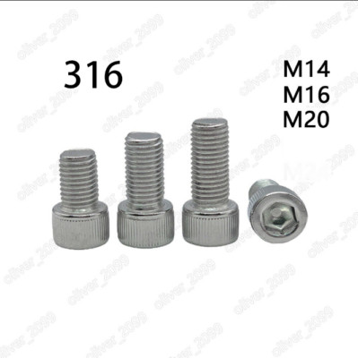 316 Stainless Steel DIN912 Hex Socket Bolts Cap Head Screws M14 M16 M20