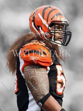 RV902 Rey Maualuga Cincinnati Bengals 8x10 11x14 16x20 Spotlight Photo