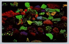 Postcard Ohio Youngstown Adamas Museum Fluorescent Collection Lapidary G188