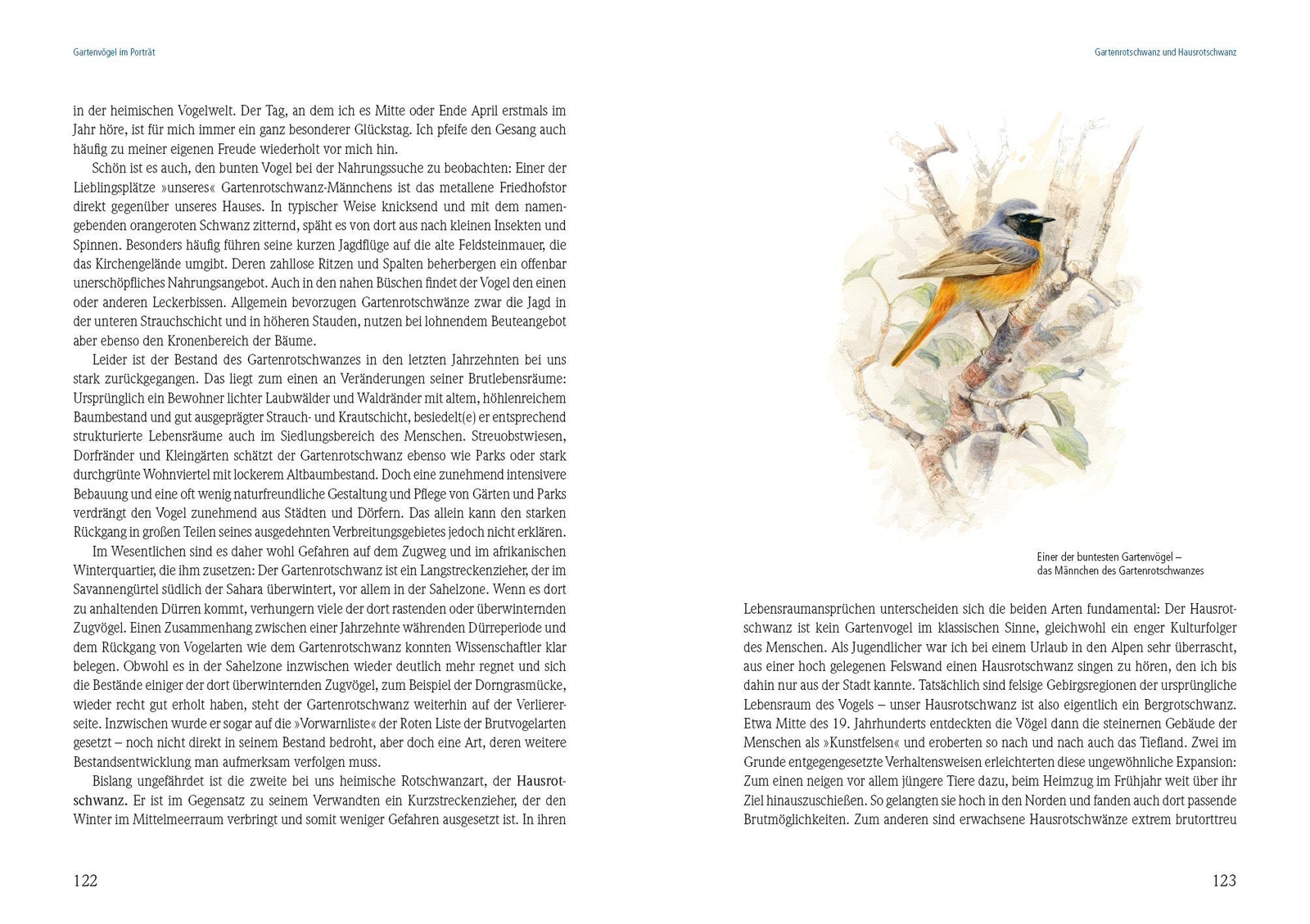 Thumbnail - Das Große Buch Der Gartenvögel | Uwe Westphal | Deutsch | Buch | 288