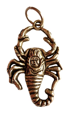 großer Skorpion Anhänger Tibet Silber Schmuck NEU - Bild 1 von 2