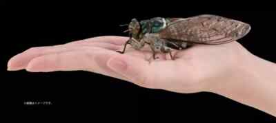 The Diversity of Life on Earth Advance Cicada 01 Figure Bandai