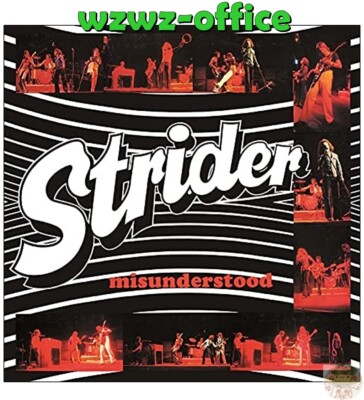 STRIDER Misunderstood with Bonus Track JAPAN MINI LP CD
