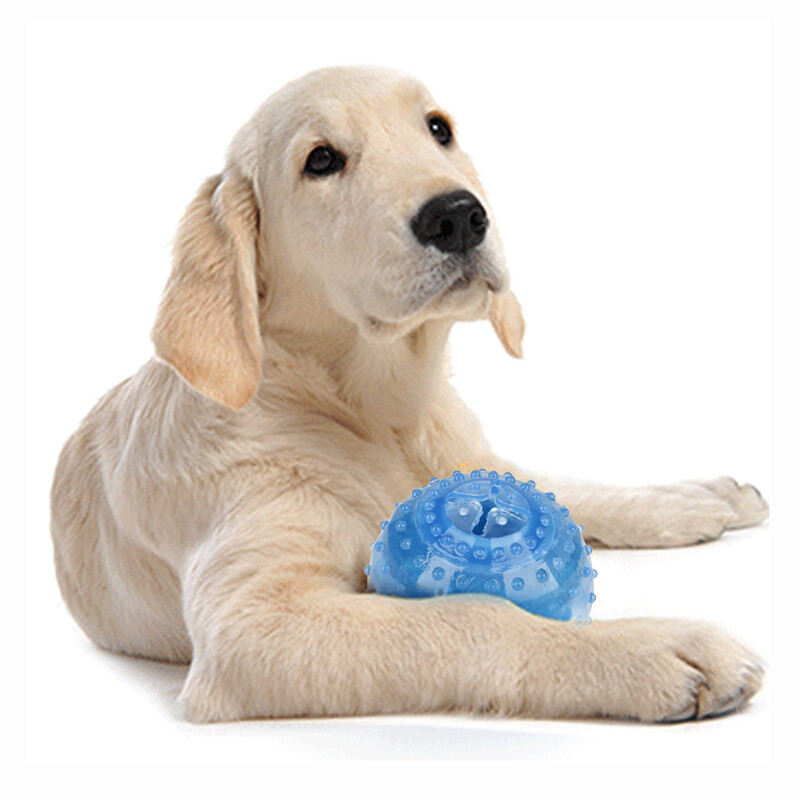 Funny Globe Pet Freeze Frozen Chew Toy Fetch Traning Play Chew Toy