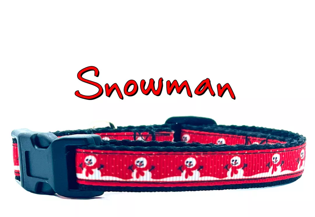 Small dog sale collars and leashes