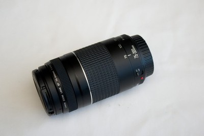 Canon EF 75-300mm f/4-5.6 III Telephoto Zoom Lens