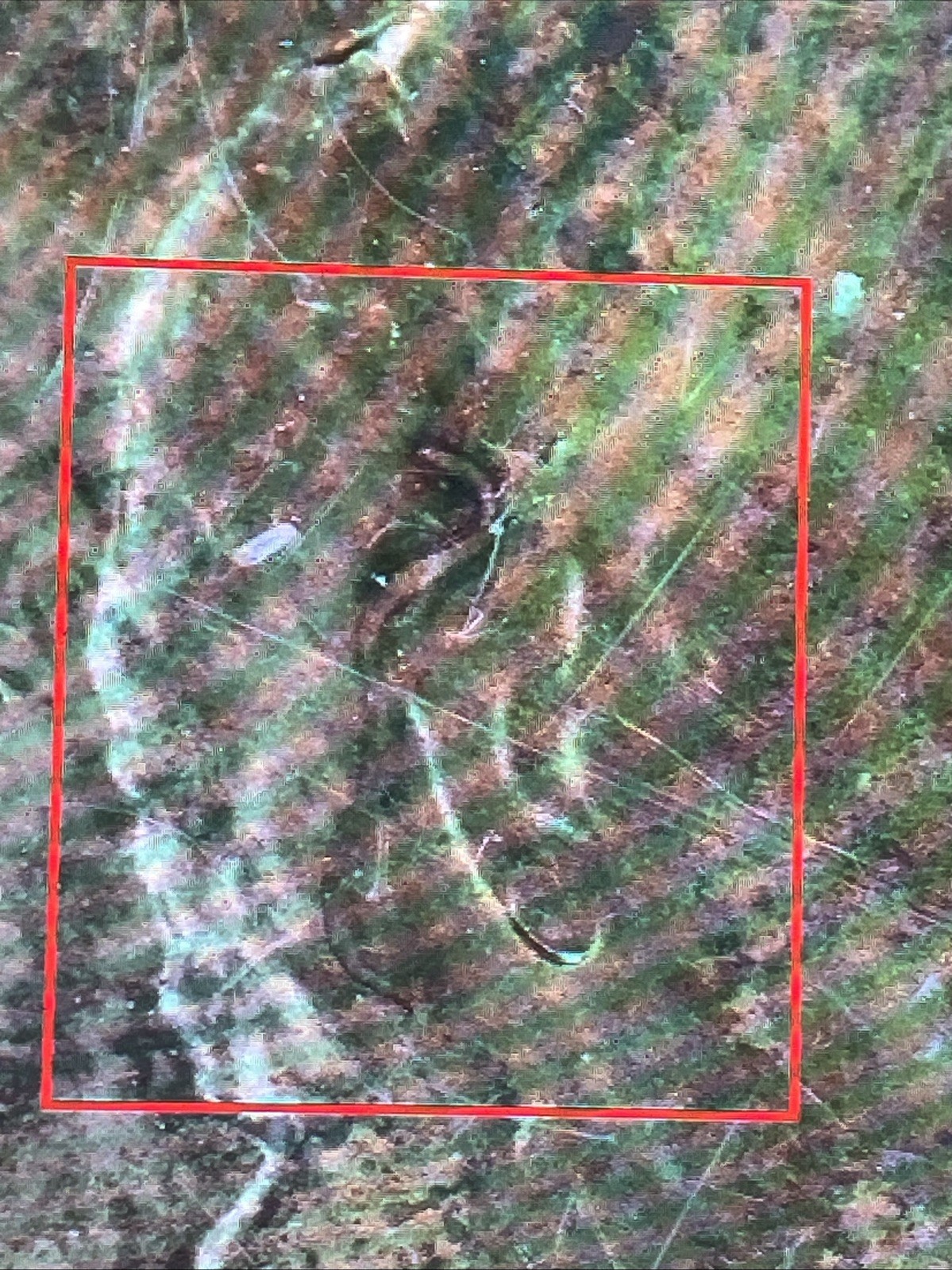 Picture 4 of 5