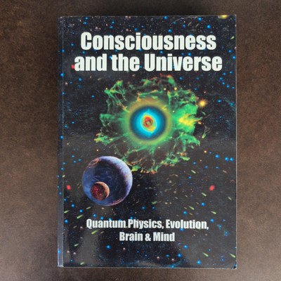 Consciousness and the Universe: Quantum Physics, Evolution, Brain & Mind