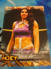 Topps Wwe Women's Division 2017 Billie Kay Nxt-2