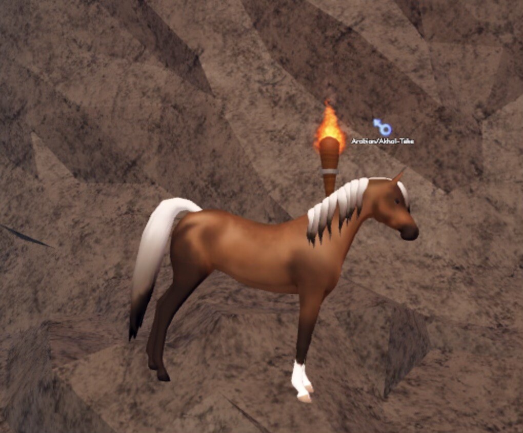 Wild Horse Islands - Roblox - Chocolate Palomino Arabian | eBay UK