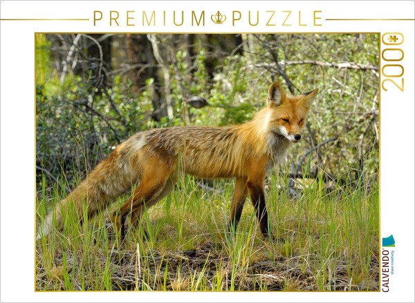 Calvendo Puzzle Rotfuchs 2000 Teile Puzzle Quer | 2000 Teile Lege-GrößE 90X67Cm-image