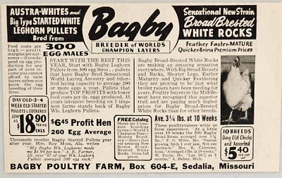1948 Print Ad Bagby Austra Whites & White Rocks Chickens Sedalia,Missouri