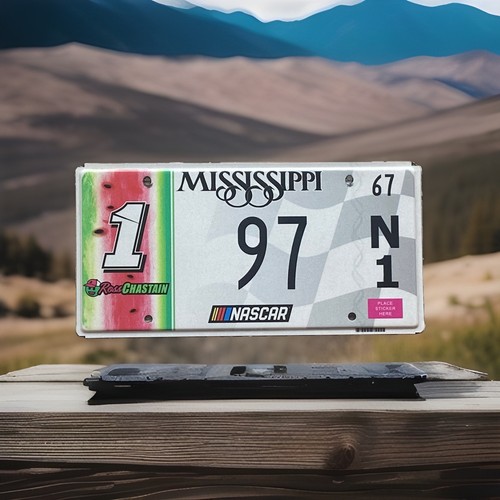 MISSISSIPPI / NASCAR / ROSS CHASTAIN LICENSE PLATE watermelon “97” 2 digit