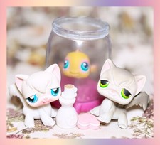 Auténtico lote de 10 gatitos Littlest Pet Shop LPS pelo largo angora gato 9 20 pecera