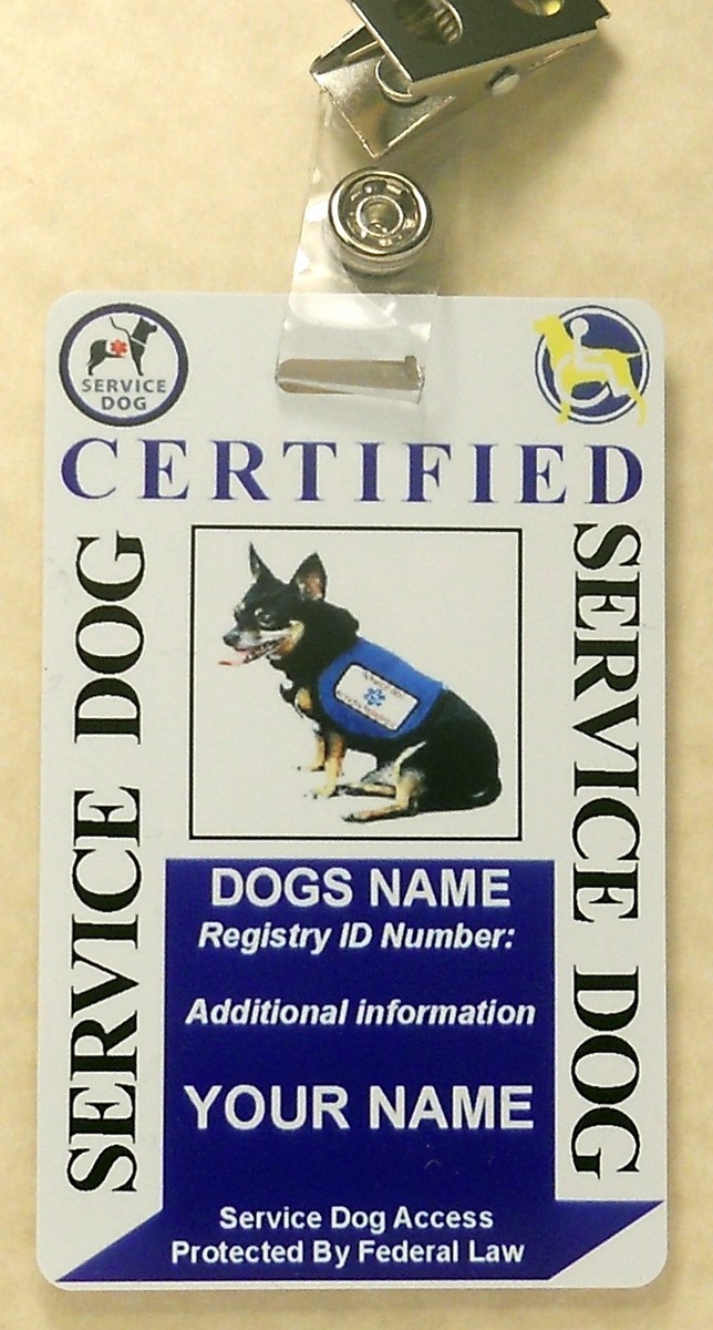 Dog Vest Certified Therapy Animal Akc Therapy Dog Title Akc