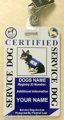 California Service Dog Requirements
