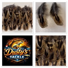 Hen Pheasant Shoulder Feathers Church Windows 100 Pack Fly Tying BUY4 GET 1 FREE