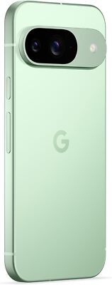Google Pixel 9 - 256 GB - Wintergreen (Unlocked) for sale online
