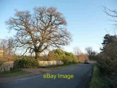 Foto 6x4 Winterbaum, King's Cliffe Road Apethorpe im Vorgarten o c2011