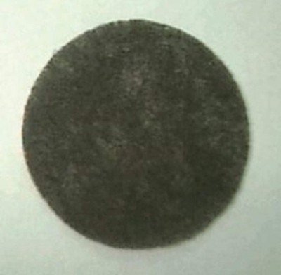 Eureka Foam Mighty Mite Ii Using N or Mm Bags Filter 38333