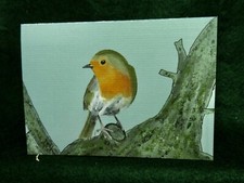 Single Robin Card  (95x140mm) with White C6 Envelope