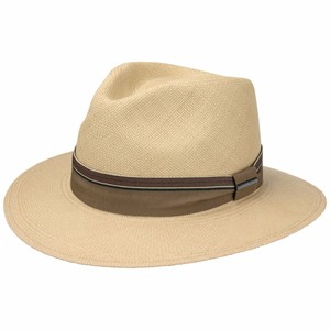 stetson traveller panama