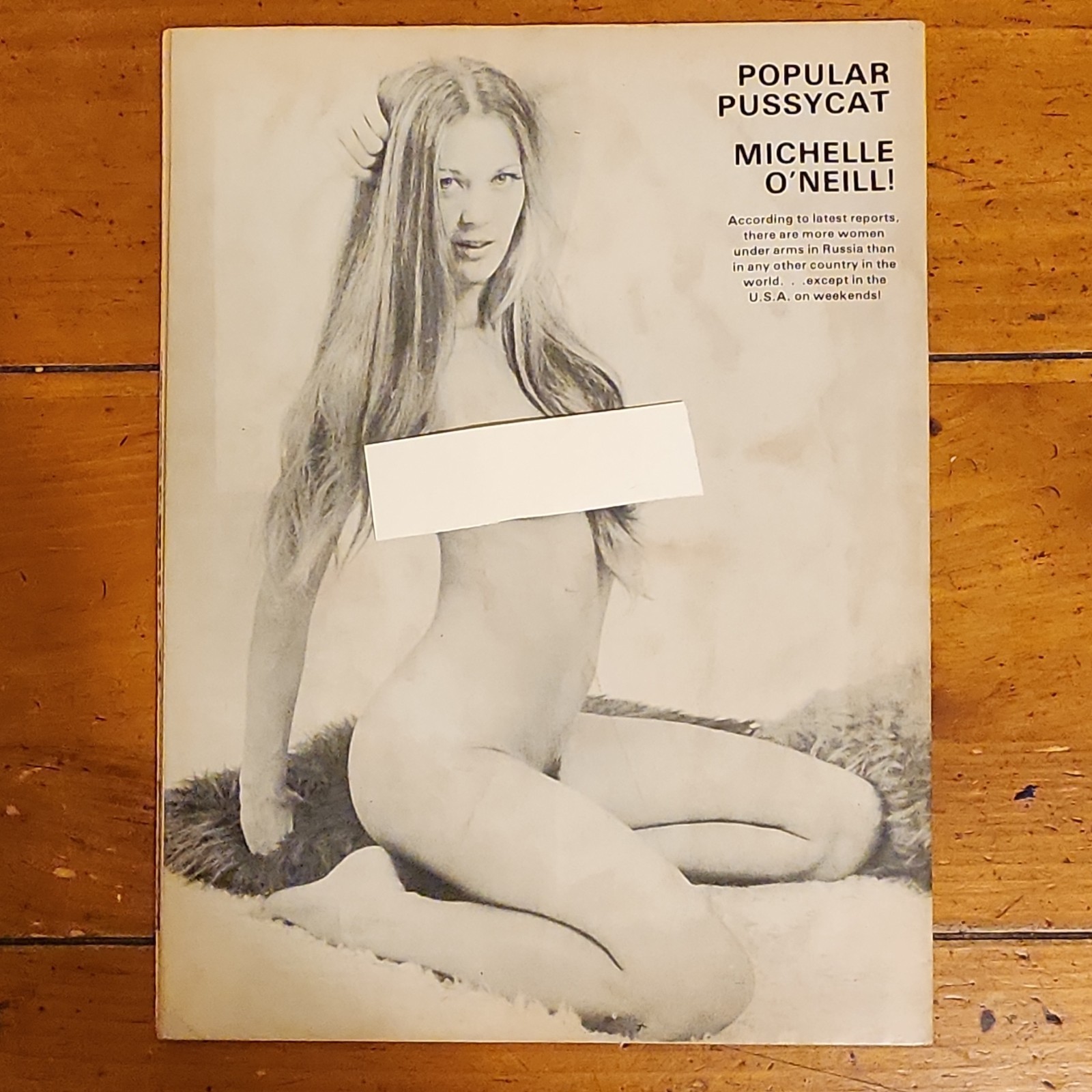 인기 유머 잡지 1977년 5월호, 성인 유머 및 개그, 빌 워드 핀업 아트 2