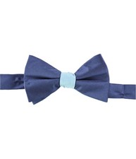 Ryan Seacrest Mens Two Tone Self-tied Bow Tie Blue One Size