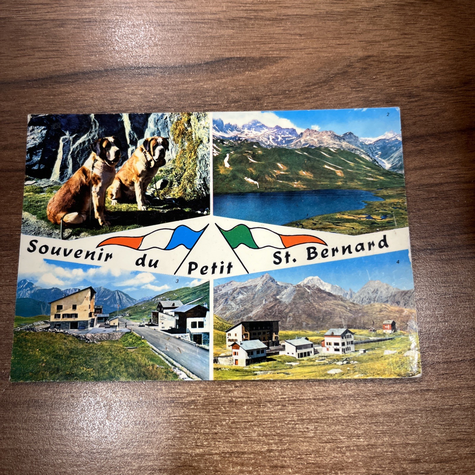 CARTOLINA COLORI VINTAGE COLLEZIONE SOUVENIR DU PETIT ST. BERNARD - POSTCARD
