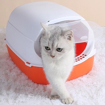 small covered litter box