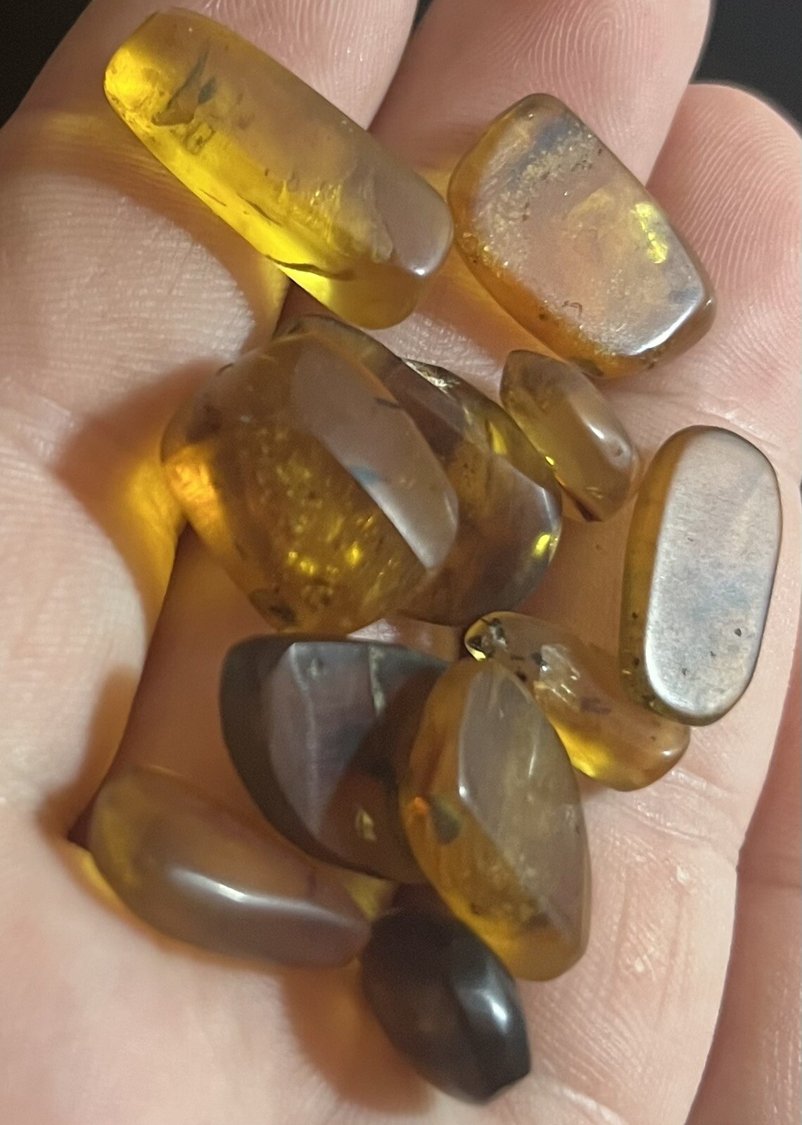 VERY INTERESTING Over 1 MILLION YEAR OLD Amber Fossil Dinosaur Age Insects 1ea.