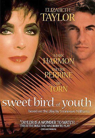 Sweet Bird of Youth DVD Elizabeth Taylor Cardboard Sleeve Case Release - Picture 1 of 1