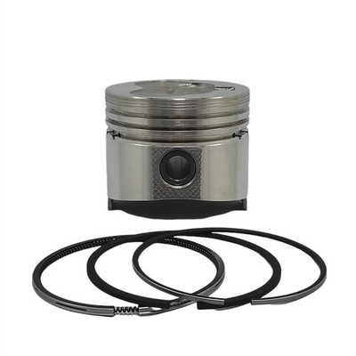 PISTON + PISTON RING SET (STD - DIAMETER: 76.00 Mm - DIAMETER 18 PIN): Compatibl