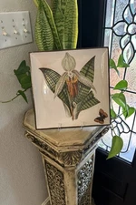 Italy VTG Beautiful Majolica Walter Hatches Wall Hanging Plates 11" Square Decor