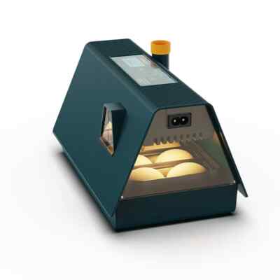 Mini Incubators and 10 Chicken Quail and Bird Eggs Incubators for Sale
