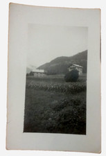 Celat Vallada Agordina - Belluno - cartolina fotogr. panorama masi case sparse