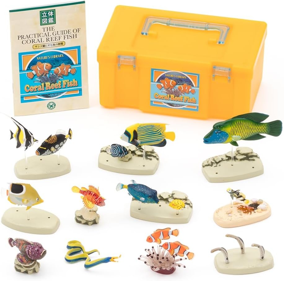 Colorata Nature's Library Coral Reef Fish PVC Figure Set New Japan