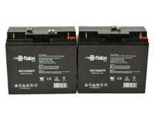 Raion Power 12V 22Ah Universal Power Group UB12220 Lawn Mower Battery - 2PK